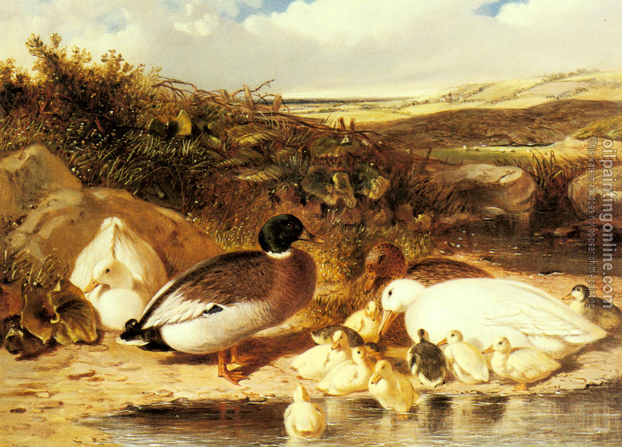 Herring, John Frederick Jr - Mallard Ducks and Ducklings on a River Bank
